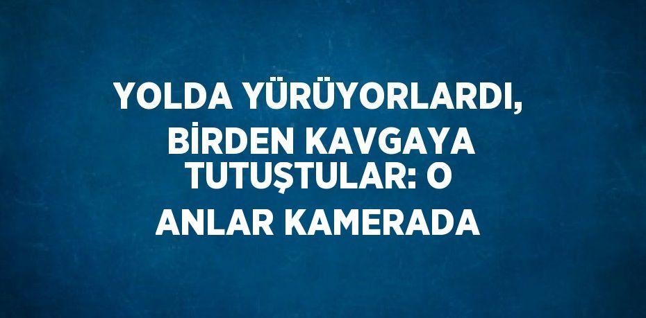 YOLDA YÜRÜYORLARDI, BİRDEN KAVGAYA TUTUŞTULAR: O ANLAR KAMERADA