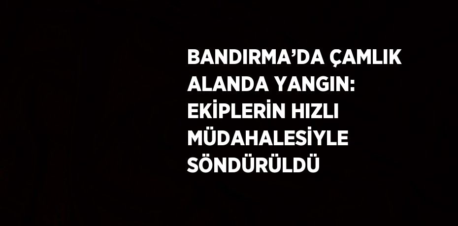 BANDIRMA’DA ÇAMLIK ALANDA YANGIN: EKİPLERİN HIZLI MÜDAHALESİYLE SÖNDÜRÜLDÜ