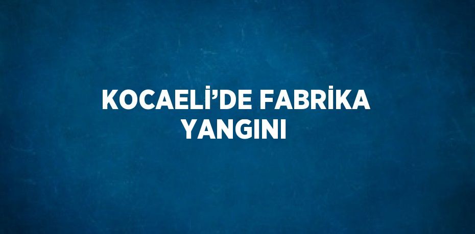 KOCAELİ’DE FABRİKA YANGINI