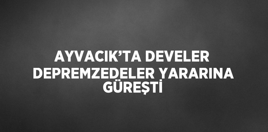 AYVACIK’TA DEVELER DEPREMZEDELER YARARINA GÜREŞTİ