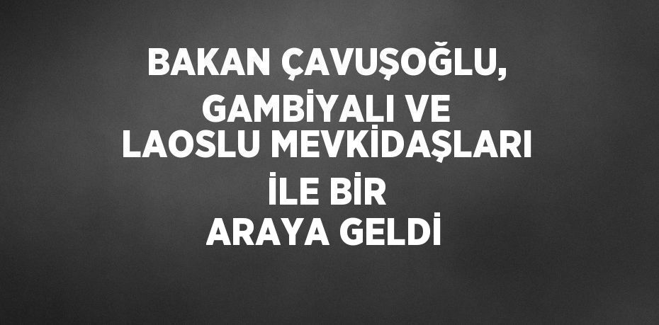 BAKAN ÇAVUŞOĞLU, GAMBİYALI VE LAOSLU MEVKİDAŞLARI İLE BİR ARAYA GELDİ