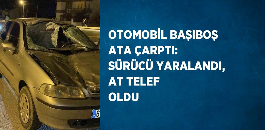 OTOMOBİL BAŞIBOŞ ATA ÇARPTI: SÜRÜCÜ YARALANDI, AT TELEF OLDU