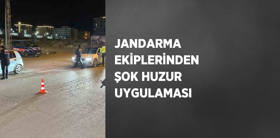 JANDARMA EKİPLERİNDEN ŞOK HUZUR UYGULAMASI