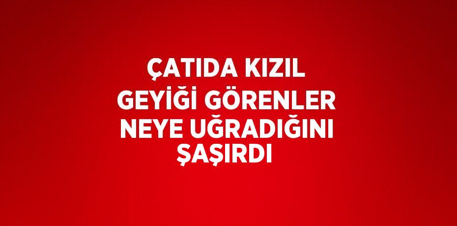 ÇATIDA KIZIL GEYİĞİ GÖRENLER NEYE UĞRADIĞINI ŞAŞIRDI