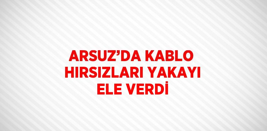 ARSUZ’DA KABLO HIRSIZLARI YAKAYI ELE VERDİ