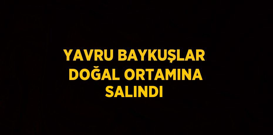 YAVRU BAYKUŞLAR DOĞAL ORTAMINA SALINDI