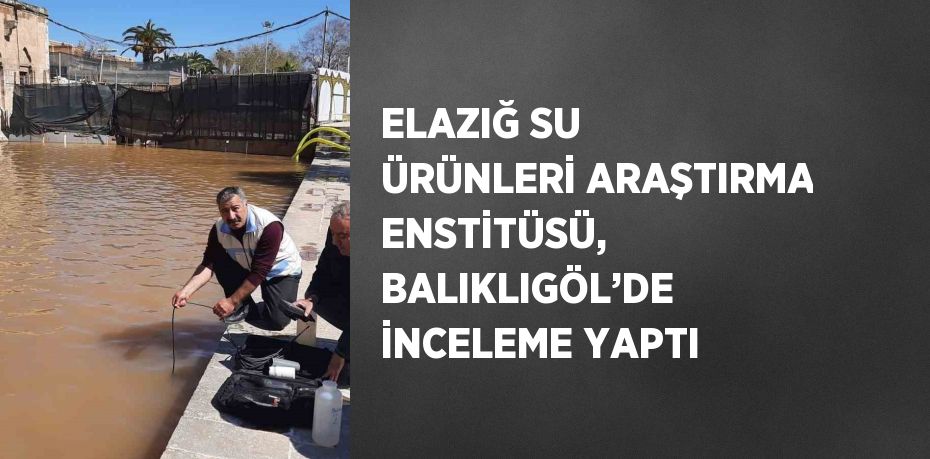 ELAZIĞ SU ÜRÜNLERİ ARAŞTIRMA ENSTİTÜSÜ, BALIKLIGÖL’DE İNCELEME YAPTI