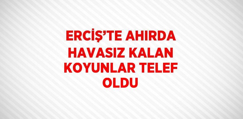 ERCİŞ’TE AHIRDA HAVASIZ KALAN KOYUNLAR TELEF OLDU