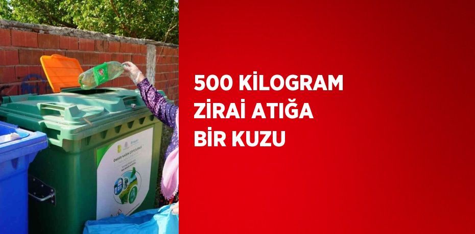 500 KİLOGRAM ZİRAİ ATIĞA BİR KUZU