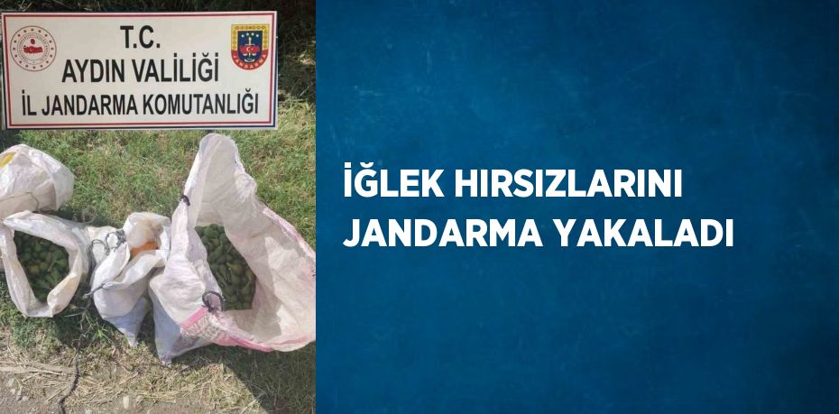 İĞLEK HIRSIZLARINI JANDARMA YAKALADI