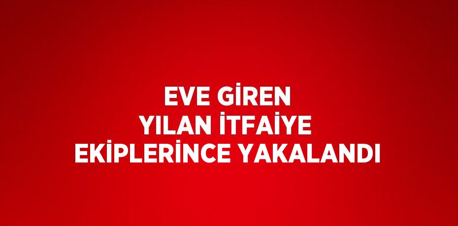 EVE GİREN YILAN İTFAİYE EKİPLERİNCE YAKALANDI