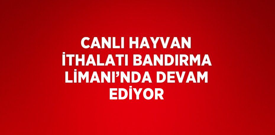 CANLI HAYVAN İTHALATI BANDIRMA LİMANI’NDA DEVAM EDİYOR