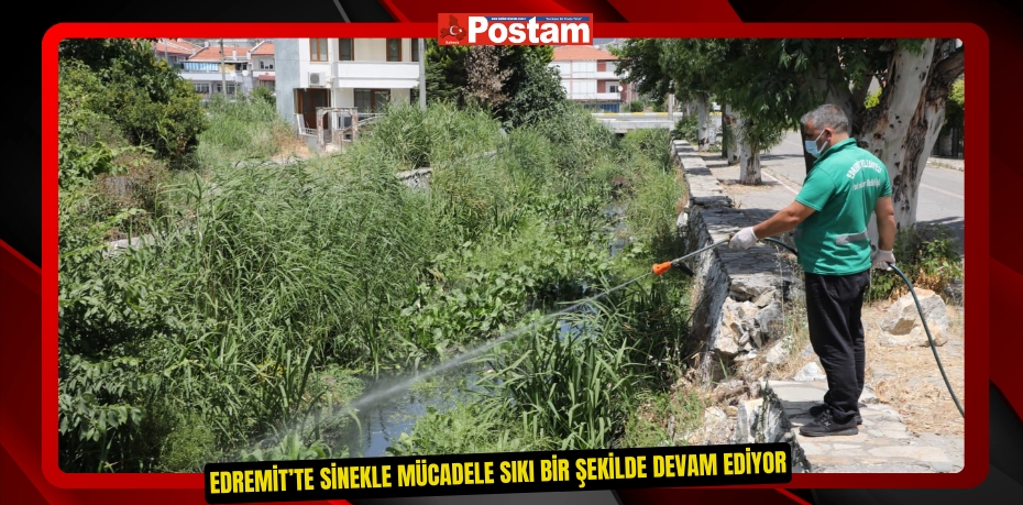 Edremit’te sinekle mücadele sıkı bir şekilde devam ediyor