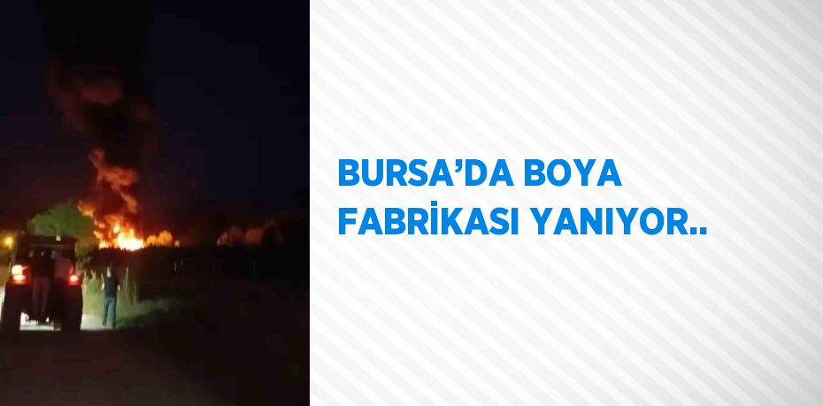 BURSA’DA BOYA FABRİKASI YANIYOR..