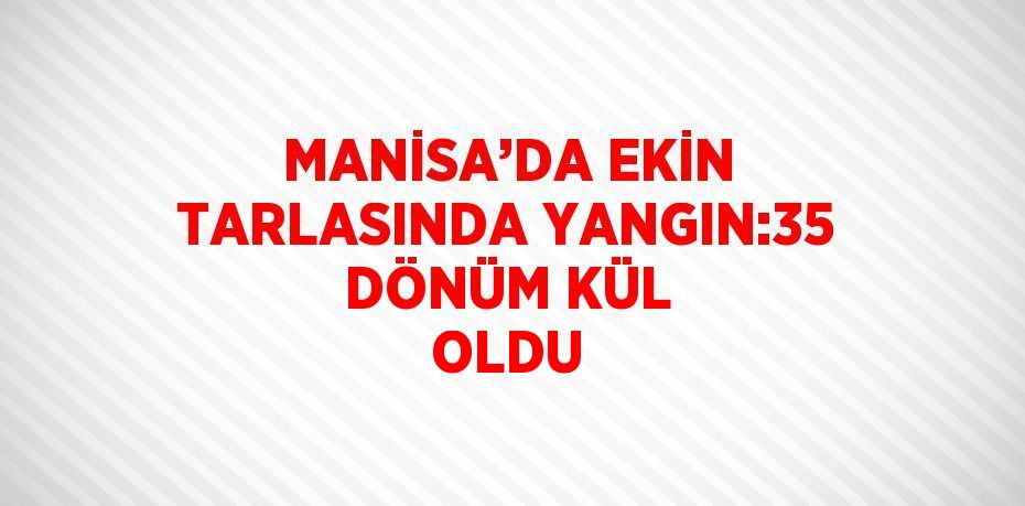 MANİSA’DA EKİN TARLASINDA YANGIN:35 DÖNÜM KÜL OLDU