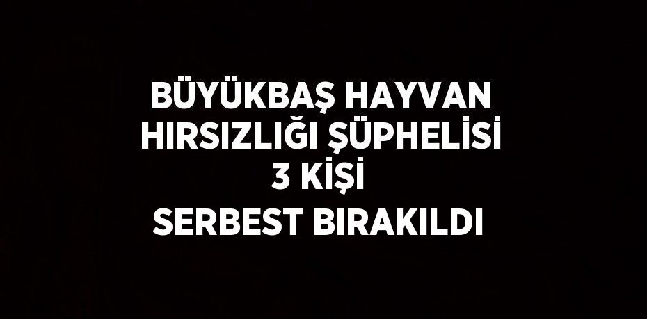 BÜYÜKBAŞ HAYVAN HIRSIZLIĞI ŞÜPHELİSİ 3 KİŞİ SERBEST BIRAKILDI