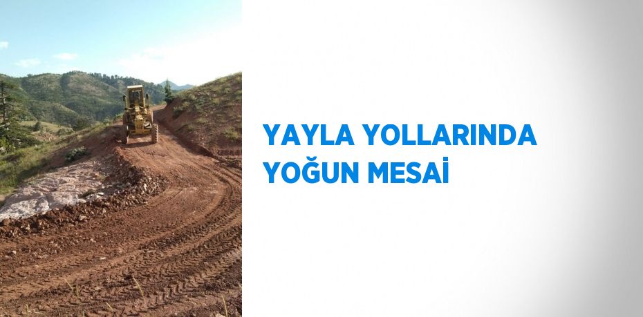 YAYLA YOLLARINDA YOĞUN MESAİ