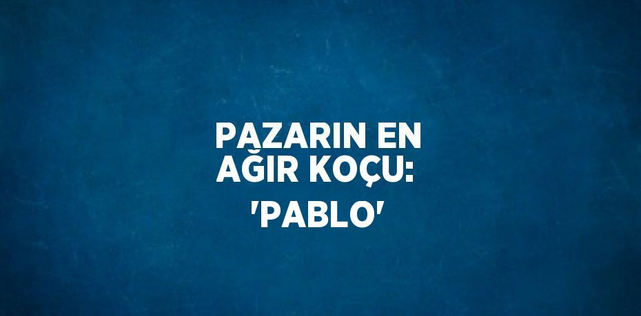 PAZARIN EN AĞIR KOÇU: 'PABLO'