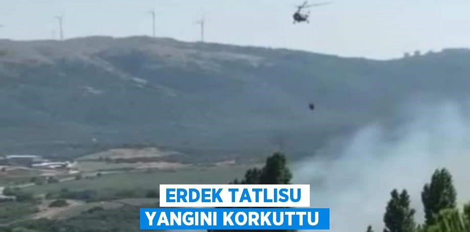 Erdek Tatlısu yangını korkuttu
