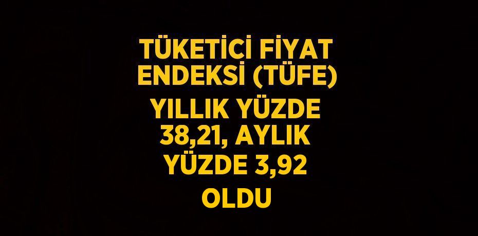 TÜKETİCİ FİYAT ENDEKSİ (TÜFE) YILLIK YÜZDE 38,21, AYLIK YÜZDE 3,92 OLDU