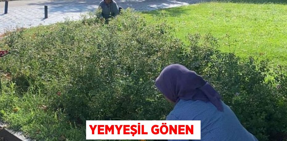 Yemyeşil Gönen