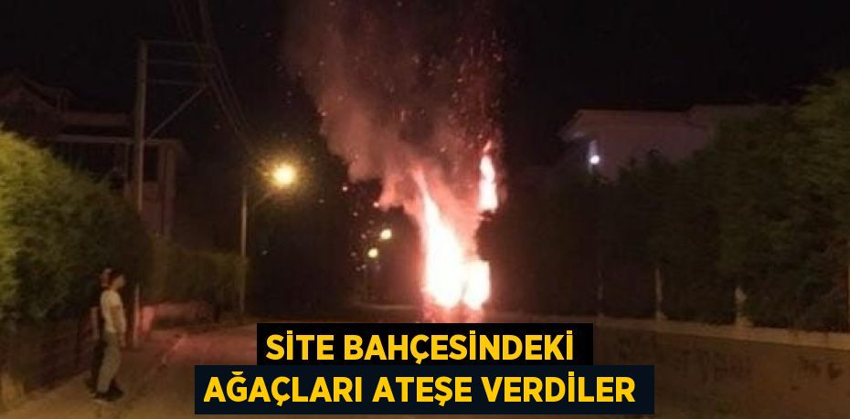 SİTE BAHÇESİNDEKİ AĞAÇLARI ATEŞE VERDİLER