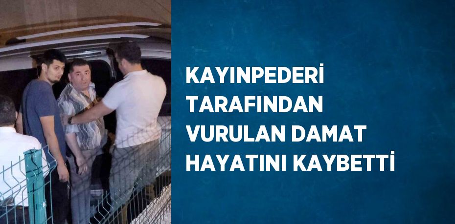 KAYINPEDERİ TARAFINDAN VURULAN DAMAT HAYATINI KAYBETTİ