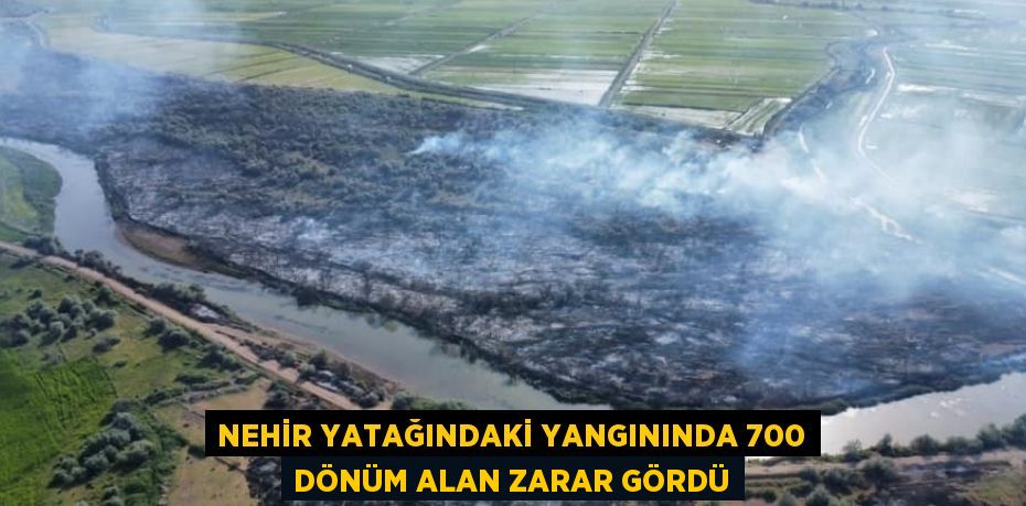 NEHİR YATAĞINDAKİ YANGININDA 700 DÖNÜM ALAN ZARAR GÖRDÜ