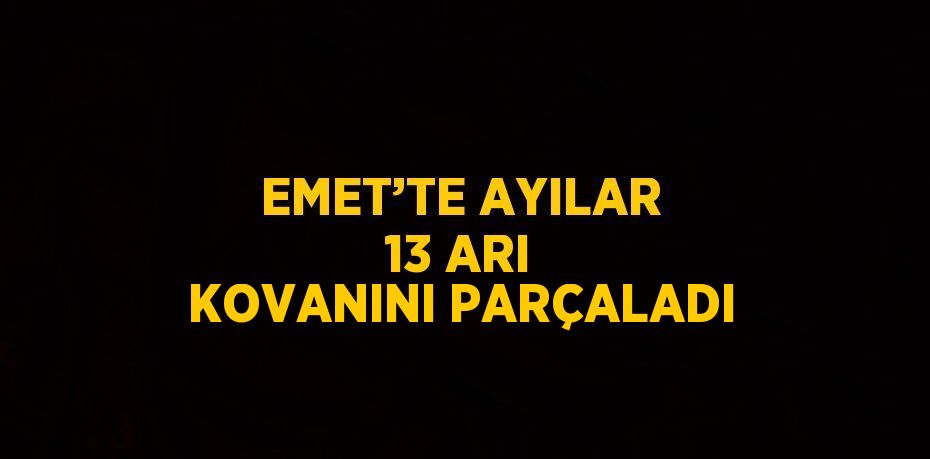 EMET’TE AYILAR 13 ARI KOVANINI PARÇALADI