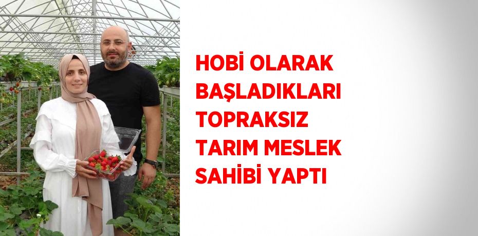 HOBİ OLARAK BAŞLADIKLARI TOPRAKSIZ TARIM MESLEK SAHİBİ YAPTI