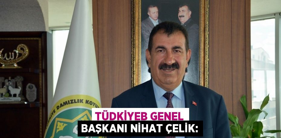 TÜDKİYEB GENEL BAŞKANI NİHAT ÇELİK: