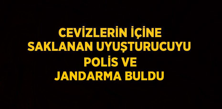 CEVİZLERİN İÇİNE SAKLANAN UYUŞTURUCUYU POLİS VE JANDARMA BULDU