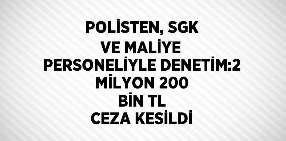 POLİSTEN, SGK VE MALİYE PERSONELİYLE DENETİM:2 MİLYON 200 BİN TL CEZA KESİLDİ