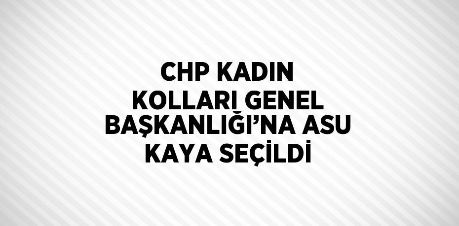 CHP KADIN KOLLARI GENEL BAŞKANLIĞI’NA ASU KAYA SEÇİLDİ