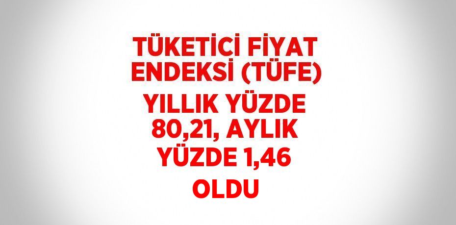 TÜKETİCİ FİYAT ENDEKSİ (TÜFE) YILLIK YÜZDE 80,21, AYLIK YÜZDE 1,46 OLDU