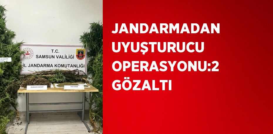 JANDARMADAN UYUŞTURUCU OPERASYONU:2 GÖZALTI