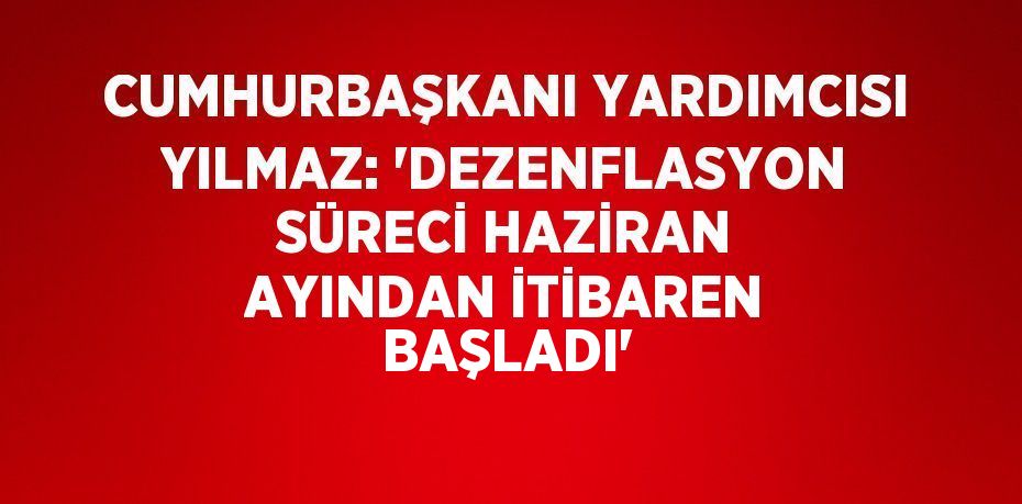 CUMHURBAŞKANI YARDIMCISI YILMAZ: 'DEZENFLASYON SÜRECİ HAZİRAN AYINDAN İTİBAREN BAŞLADI'