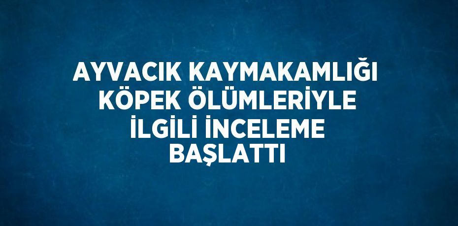 AYVACIK KAYMAKAMLIĞI KÖPEK ÖLÜMLERİYLE İLGİLİ İNCELEME BAŞLATTI