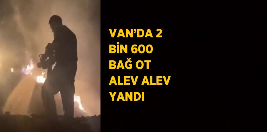 VAN’DA 2 BİN 600 BAĞ OT ALEV ALEV YANDI