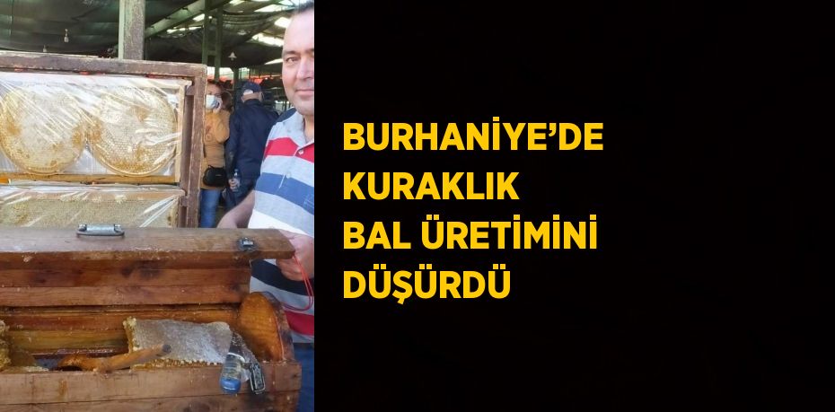 BURHANİYE’DE KURAKLIK BAL ÜRETİMİNİ DÜŞÜRDÜ