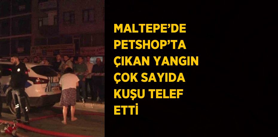 MALTEPE’DE PETSHOP’TA ÇIKAN YANGIN ÇOK SAYIDA KUŞU TELEF ETTİ