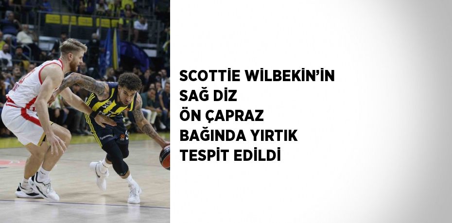 SCOTTİE WİLBEKİN’İN SAĞ DİZ ÖN ÇAPRAZ BAĞINDA YIRTIK TESPİT EDİLDİ