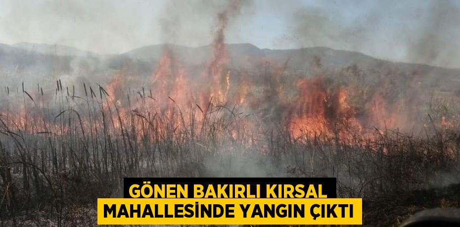 GÖNEN BAKIRLI KIRSAL MAHALLESİNDE YANGIN ÇIKTI