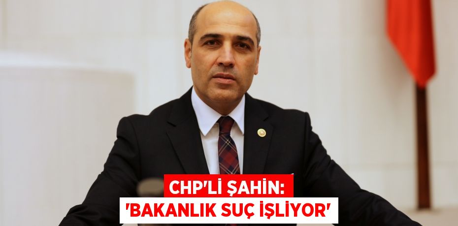 CHP’Lİ ŞAHİN: “BAKANLIK SUÇ İŞLİYOR”