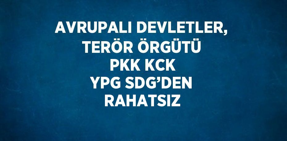 AVRUPALI DEVLETLER, TERÖR ÖRGÜTÜ PKK KCK YPG SDG’DEN RAHATSIZ