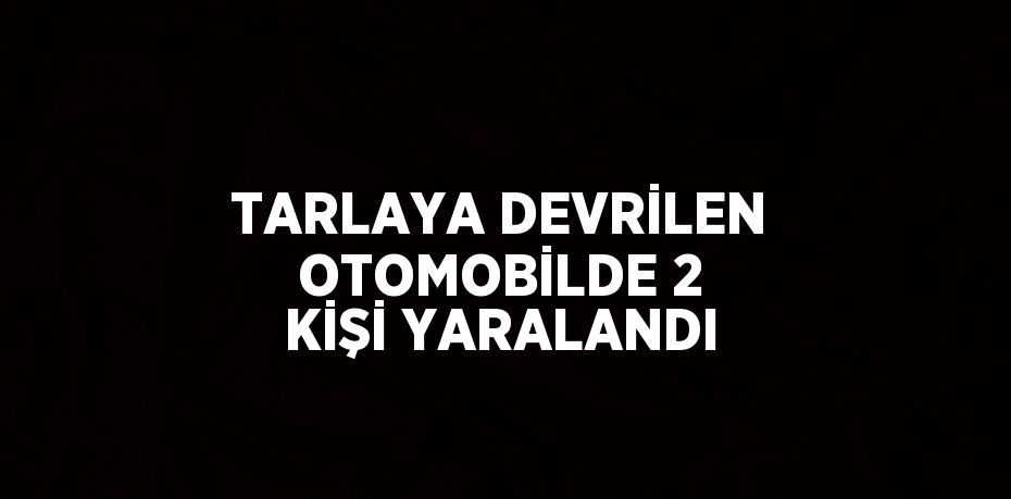 TARLAYA DEVRİLEN OTOMOBİLDE 2 KİŞİ YARALANDI