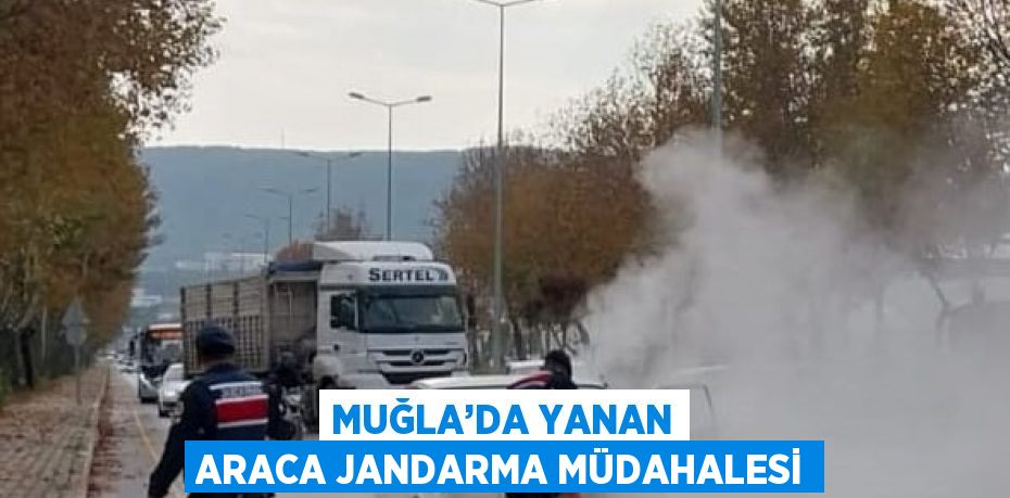 MUĞLA’DA YANAN ARACA JANDARMA MÜDAHALESİ