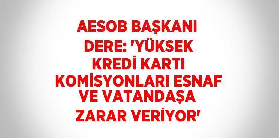 AESOB BAŞKANI DERE: 'YÜKSEK KREDİ KARTI KOMİSYONLARI ESNAF VE VATANDAŞA ZARAR VERİYOR'