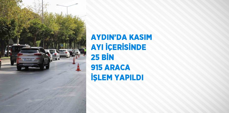 AYDIN’DA KASIM AYI İÇERİSİNDE 25 BİN 915 ARACA İŞLEM YAPILDI