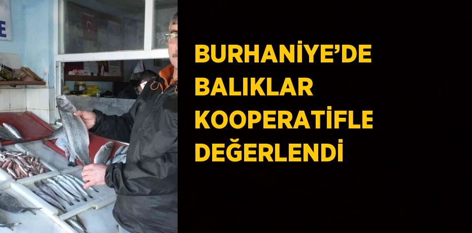 BURHANİYE’DE BALIKLAR KOOPERATİFLE DEĞERLENDİ